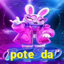 pote da prosperidade riqueza e fortuna 2024
